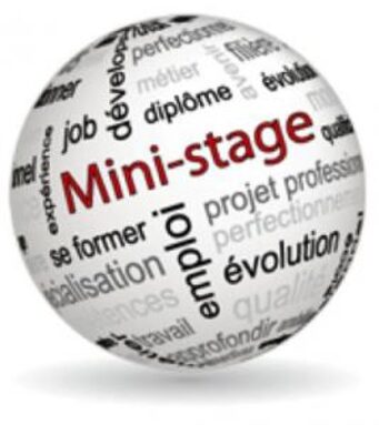 Mini-stages-267x300.jpg